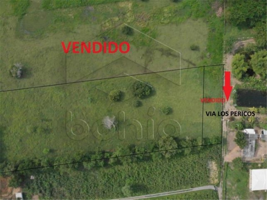 Lote en venta en Los Pericos, Montería, 400 m² · foto 5 de 8