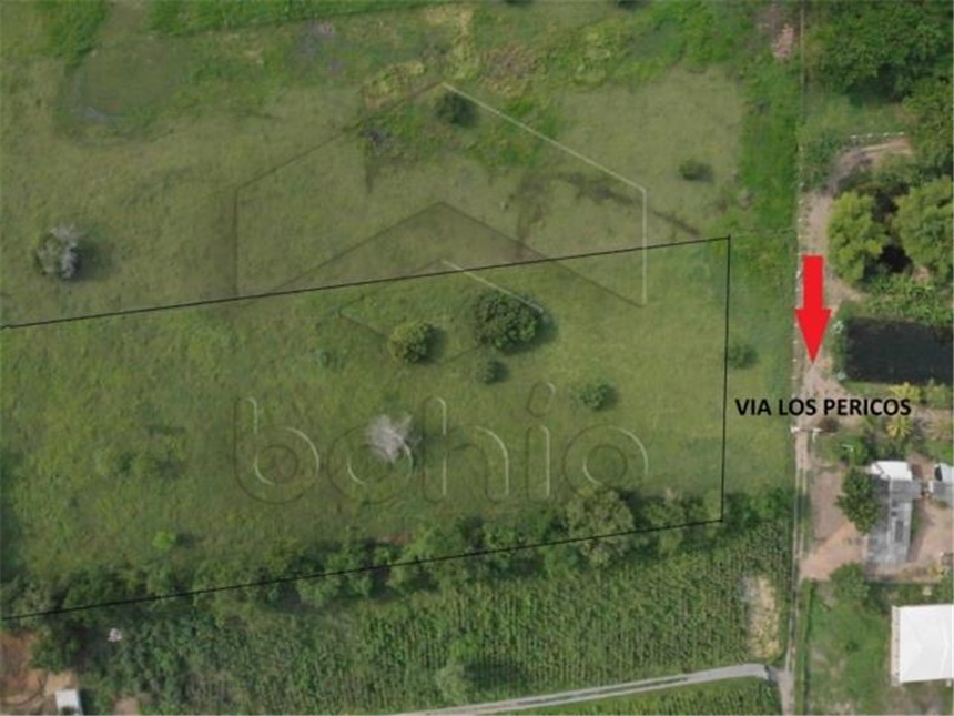 Lote en venta en Los Pericos, Montería, 400 m² · foto 3 de 8