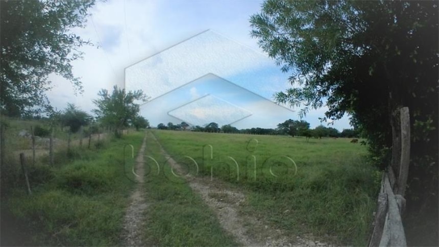 Lote en venta en Los Pericos, Montería, 400 m² · foto 8 de 8