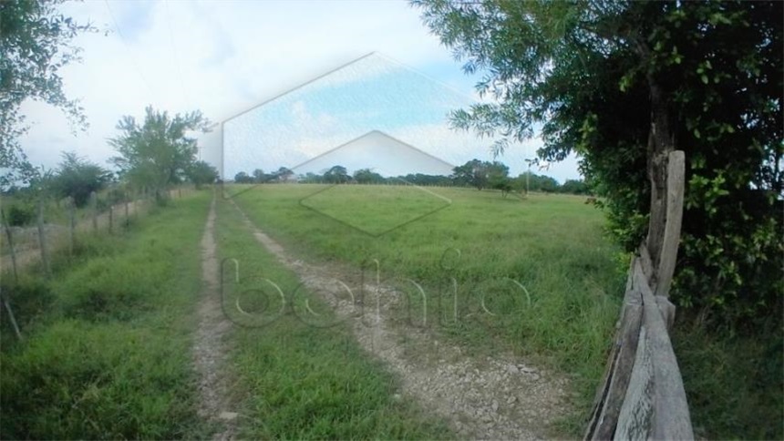 Lote en venta en Los Pericos, Montería, 400 m² · foto 7 de 8