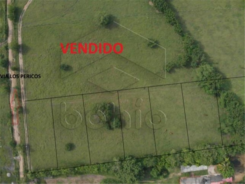 Lote en venta en Los Pericos, Montería, 400 m² · foto 4 de 8