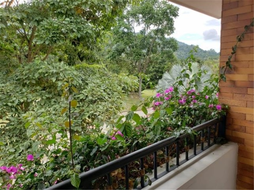 Casa de 4 alcobas en venta en Guayanas, Floridablanca, 450 m² · foto 20 de 24