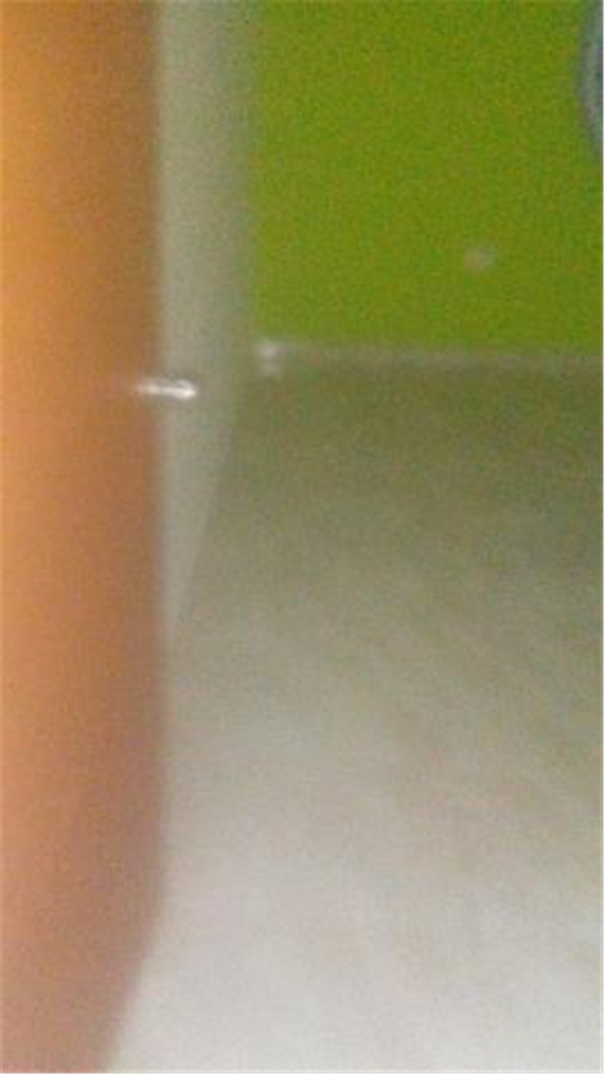 Local en arriendo en Altos Del Prado, Barranquilla, 448 m² · foto 15 de 24