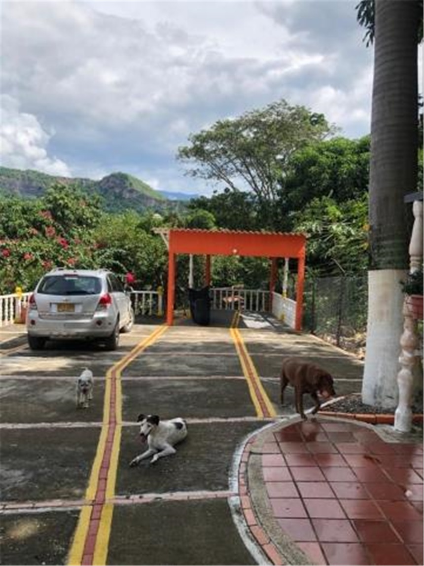 Finca en Venta – pohled 5