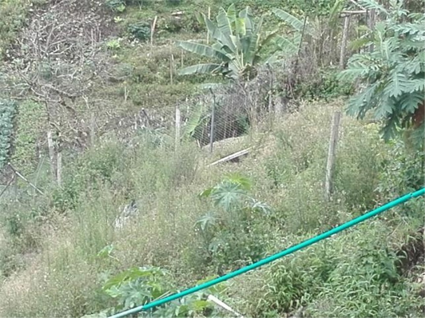 Lote en venta en Morrogacho, Manizales, 5800 m² · foto 5 de 18