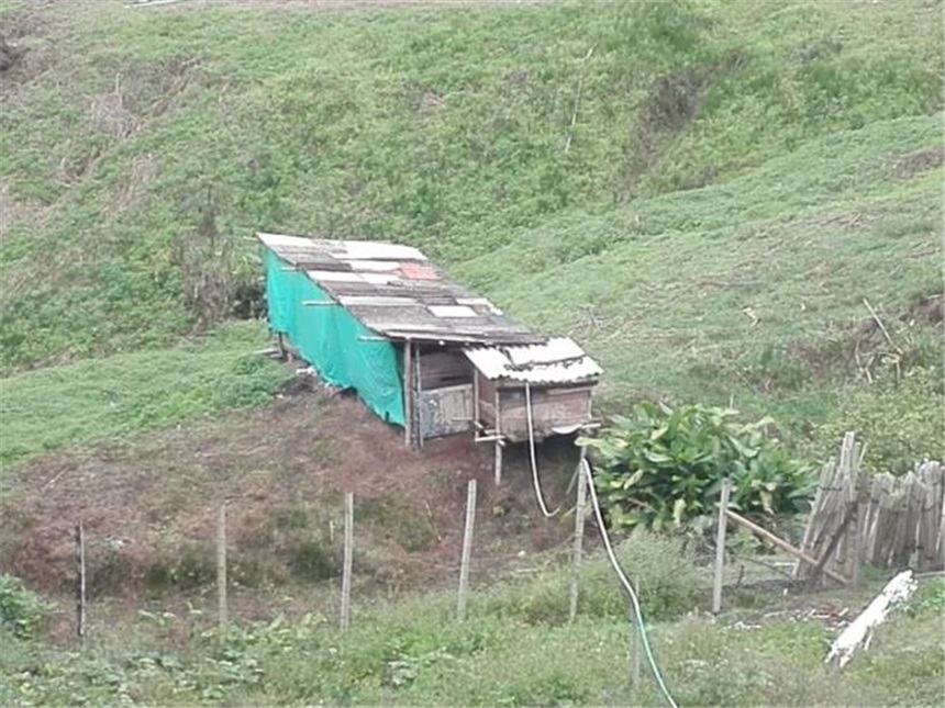 Lote en venta en Morrogacho, Manizales, 5800 m² · foto 4 de 18