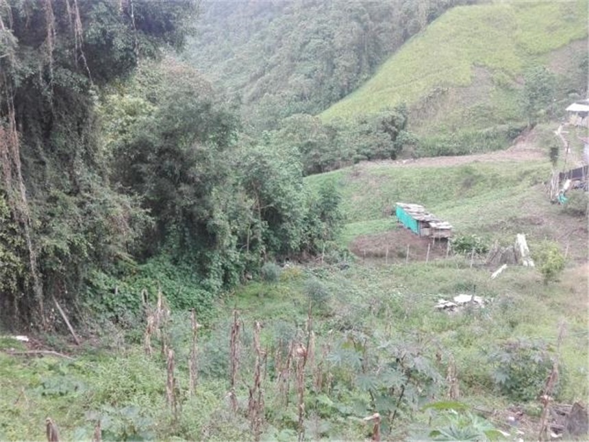 Lote en venta en Morrogacho, Manizales, 5800 m² · foto 7 de 18