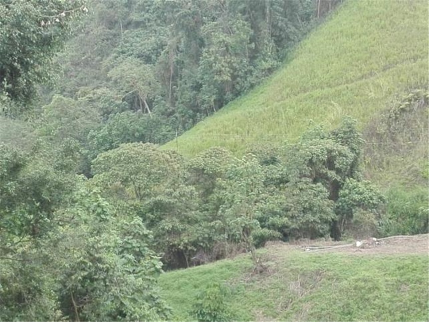 Lote en venta en Morrogacho, Manizales, 5800 m² · foto 8 de 18