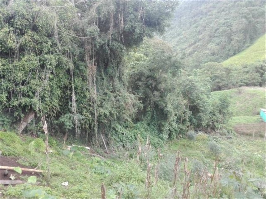 Lote en venta en Morrogacho, Manizales, 5800 m² · foto 6 de 18