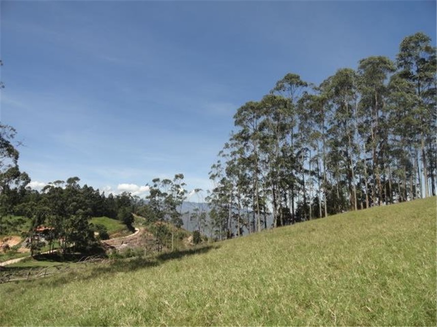 Lote en venta en Mesa De Los Santos, Piedecuesta, 10 m² · foto 19 de 24