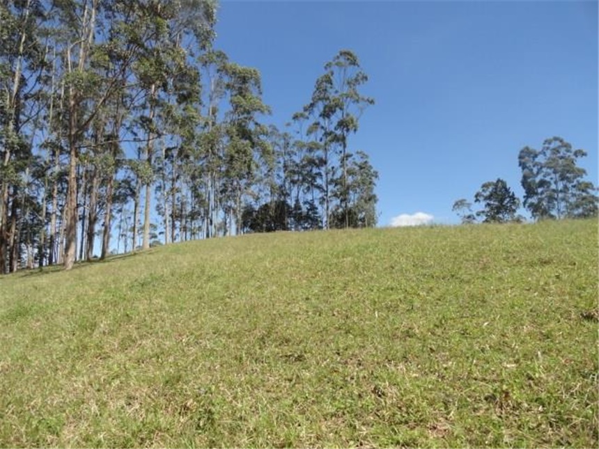 Lote en venta en Mesa De Los Santos, Piedecuesta, 10 m² · foto 24 de 24