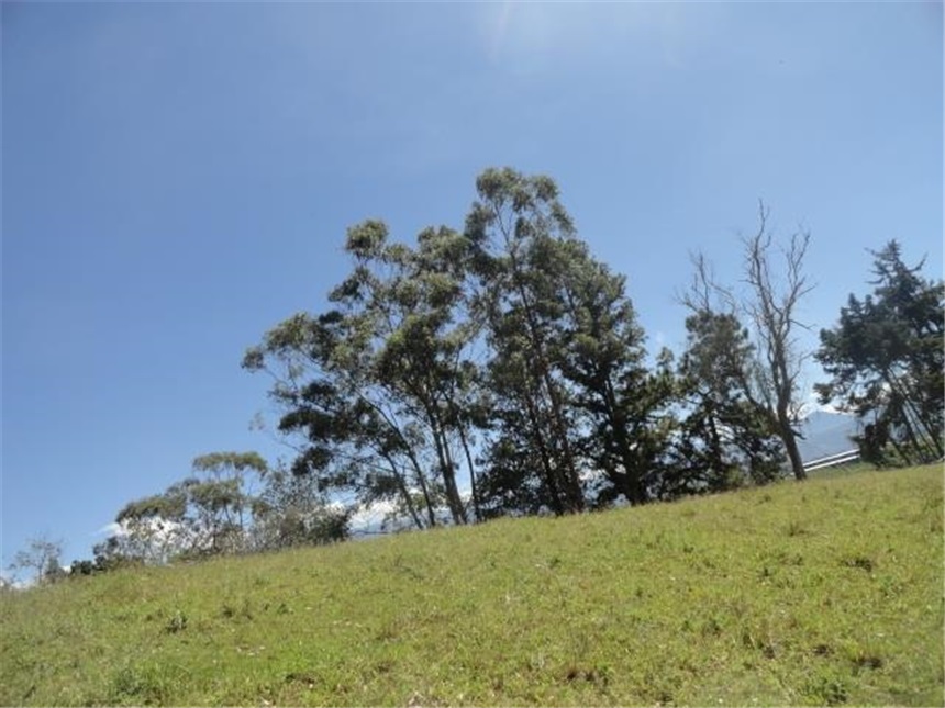 Lote en venta en Mesa De Los Santos, Piedecuesta, 10 m² · foto 22 de 24