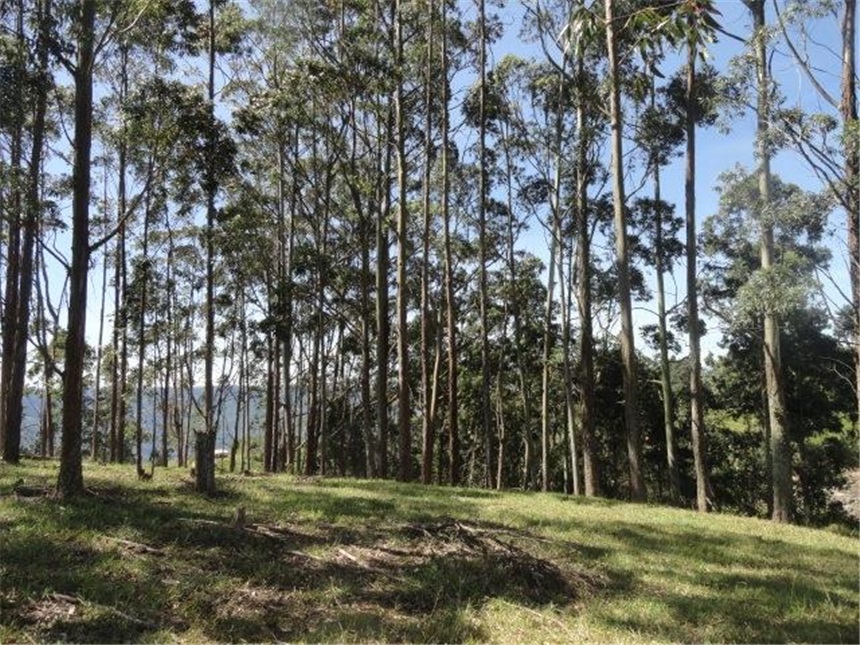Lote en venta en Mesa De Los Santos, Piedecuesta, 10 m² · foto 16 de 24