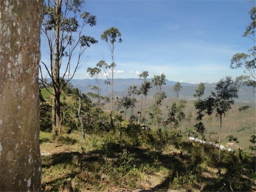 Lote en venta en Mesa De Los Santos, Piedecuesta, 10 m² · foto 8 de 24