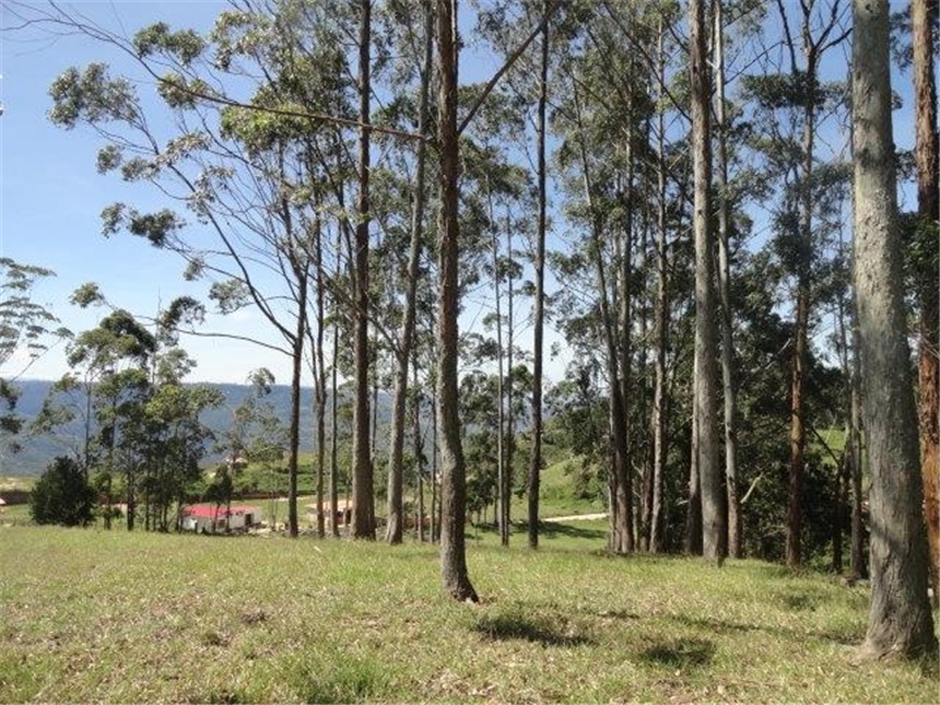 Lote en venta en Mesa De Los Santos, Piedecuesta, 10 m² · foto 14 de 24