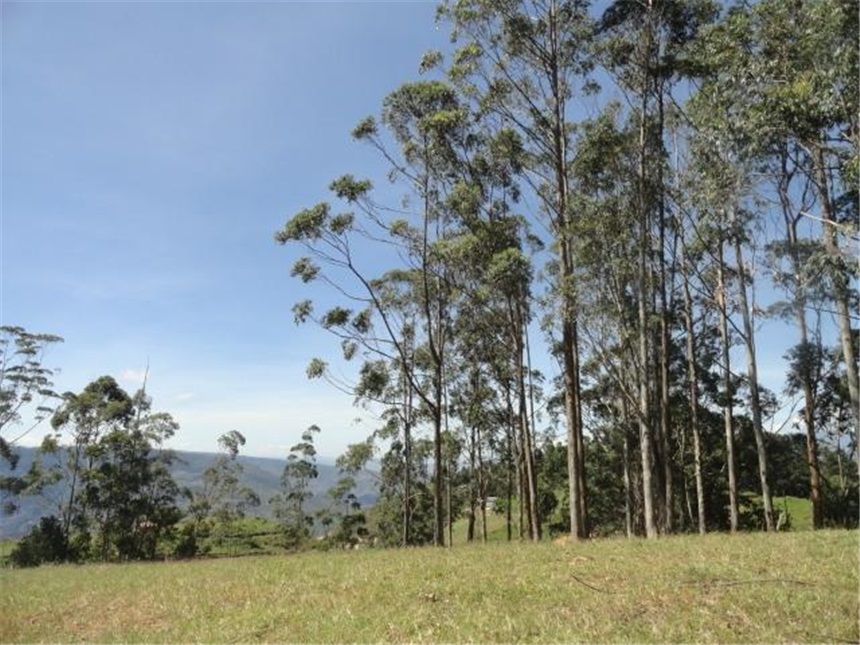 Lote en venta en Mesa De Los Santos, Piedecuesta, 10 m² · foto 15 de 24