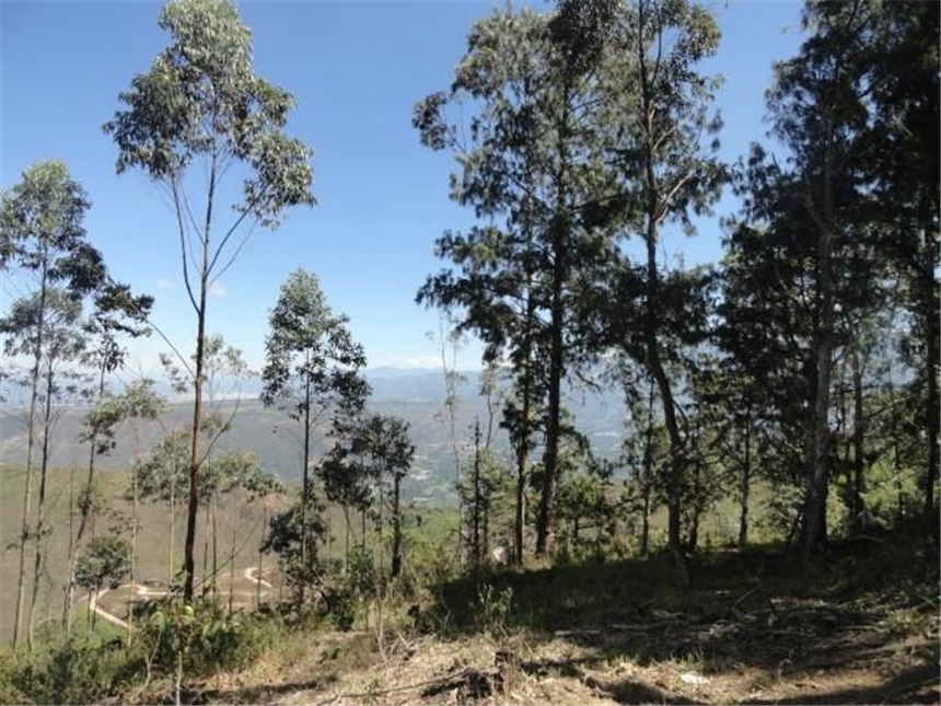 Lote en venta en Mesa De Los Santos, Piedecuesta, 10 m² · foto 7 de 24