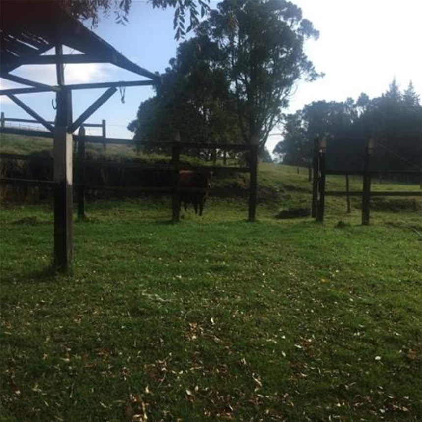 Finca en Venta - Vaade 4