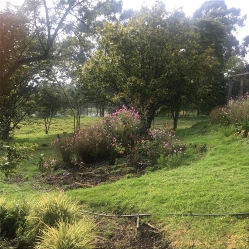 Finca en Venta - Vaade 5