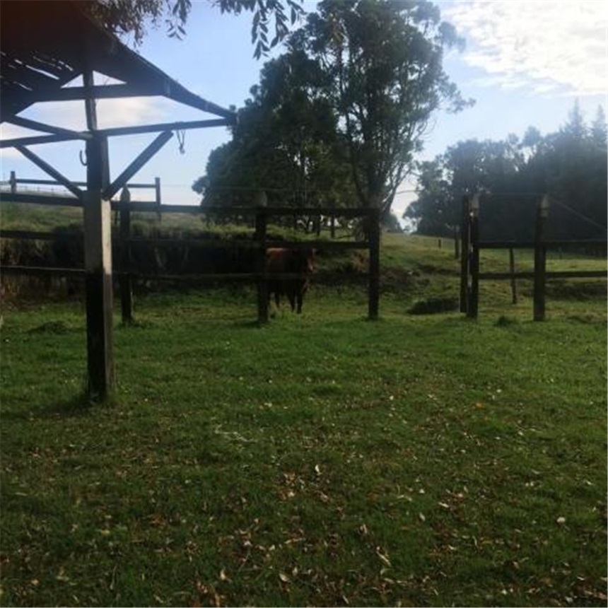 Finca en Venta - Vaade 3