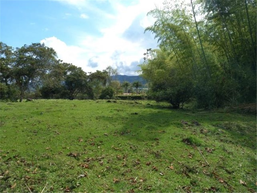 Lote en Venta - View 4