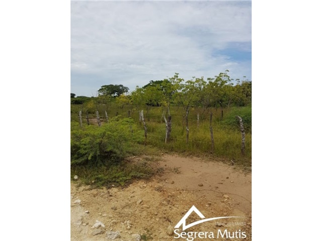 Lote en venta en Barú, Cartagena · foto 13 de 13