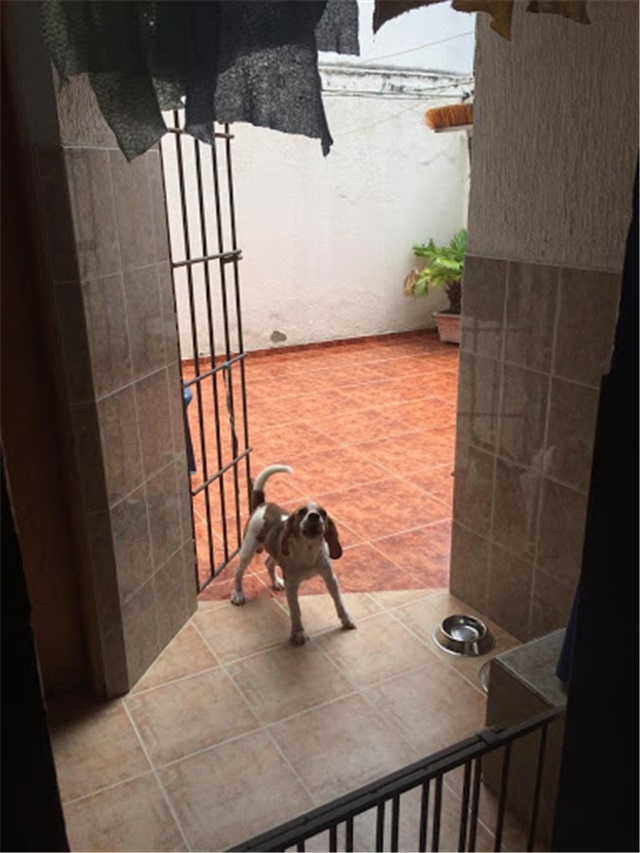 Casa en venta en La Concepcion, Cartagena · foto 12 de 19