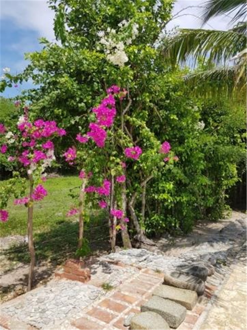 Casa en venta en Barú, Cartagena · foto 21 de 24