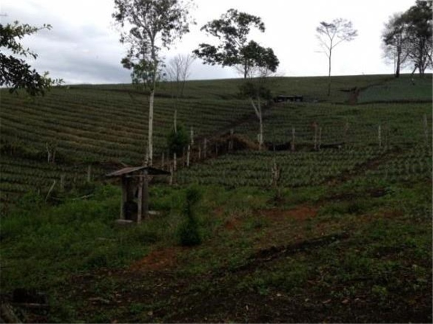 Finca en Venta - Visning 4