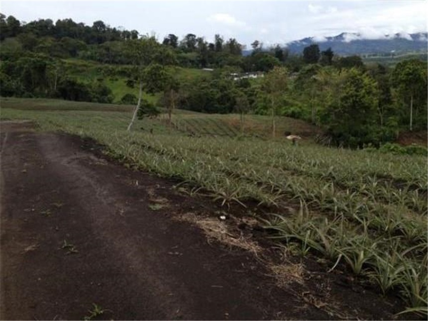 Finca en Venta - Visning 6