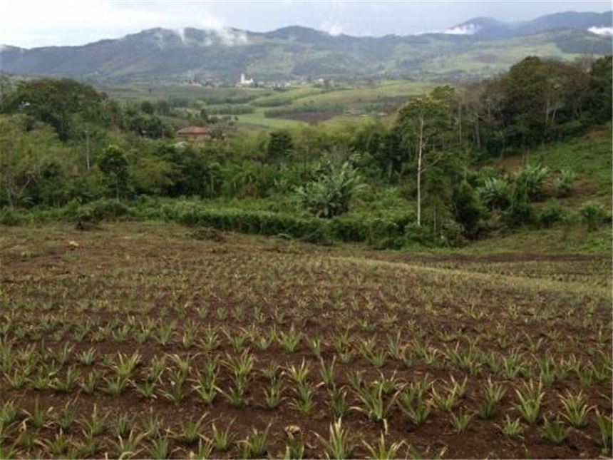 Finca en Venta