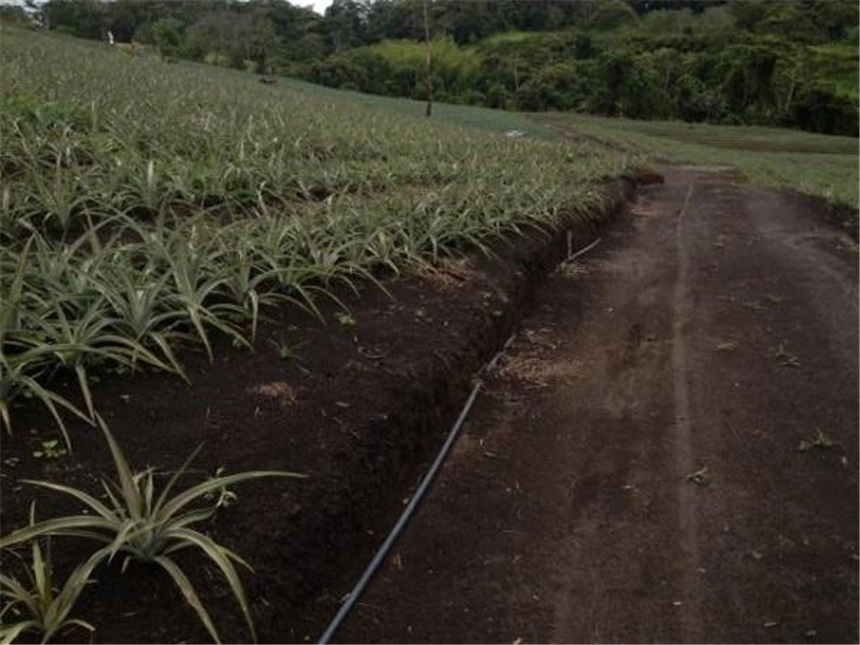 Finca en Venta - Visning 5