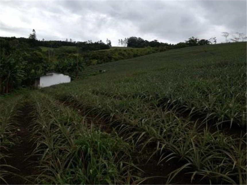 Finca en Venta - Visning 3