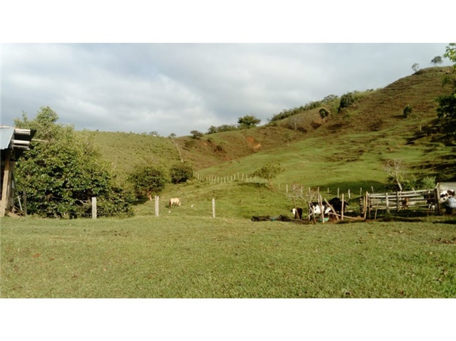 Finca en Venta