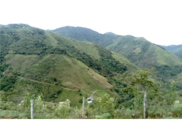 Finca en Venta - Bild 3