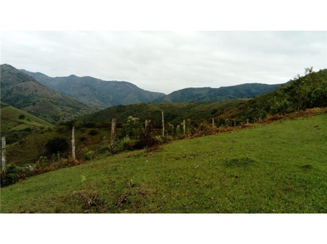Finca en Venta - Bild 4