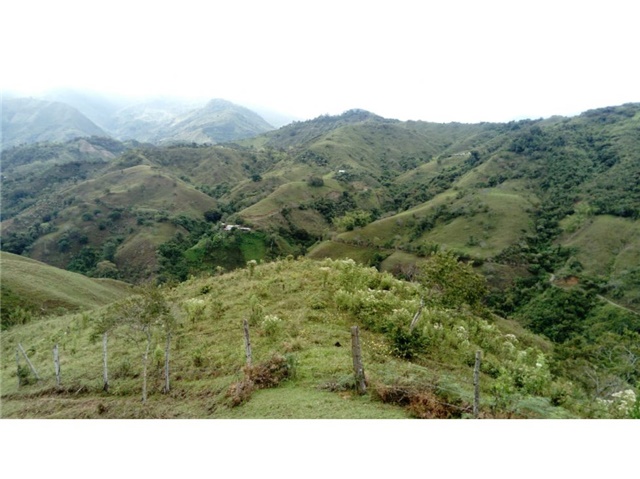 Finca en Venta - Bild 5