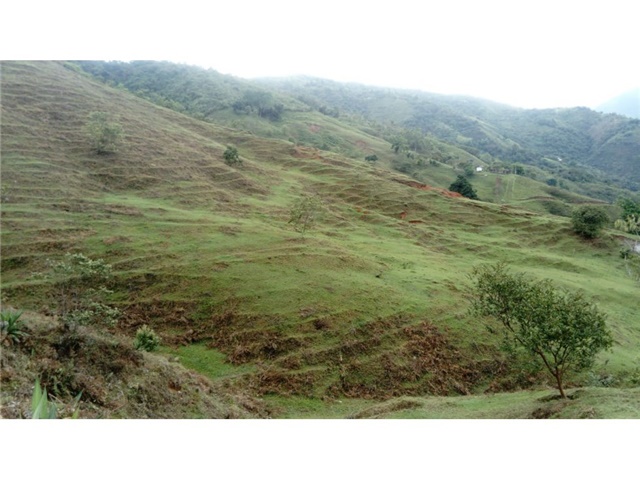 Finca en Venta - Bild 6