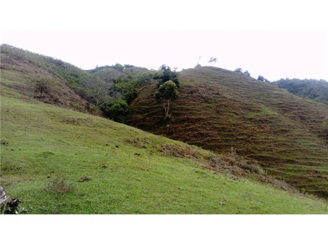 Finca en Venta - Fler