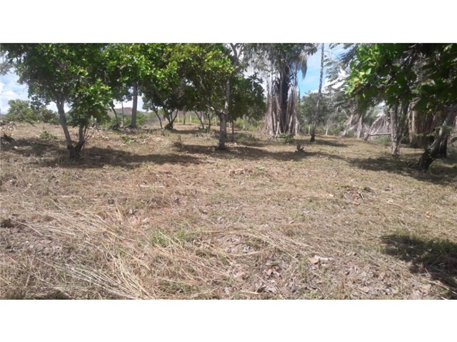 Lote en Venta - Viac