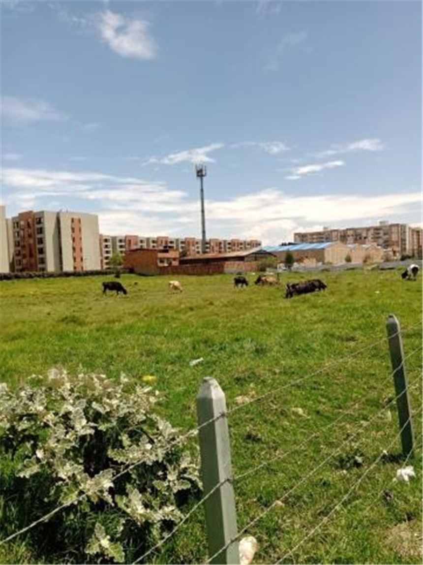 Lote en venta en Cr La Estancia Et Iii, Mosquera, 8287 m² · foto 12 de 20