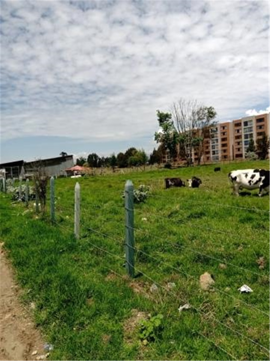Lote en venta en Cr La Estancia Et Iii, Mosquera, 8287 m² · foto 18 de 20