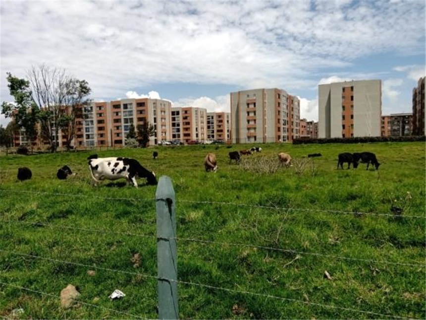 Lote en venta en Cr La Estancia Et Iii, Mosquera, 8287 m² · foto 15 de 20