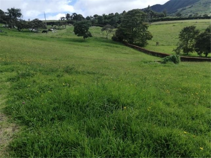 Lote en venta en San Cayetano, La Calera, 3850 m² · foto 5 de 24