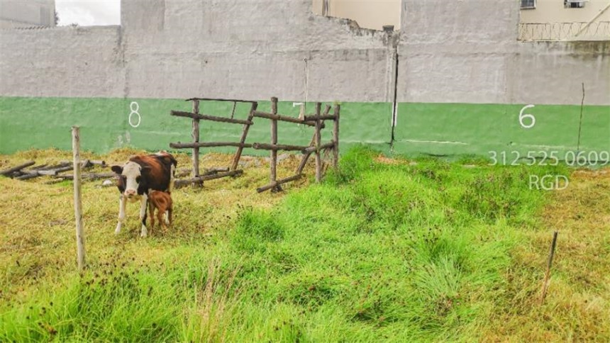 Lote en venta en Ub. Los Alpes, Tocancipá, 1060 m² · foto 10 de 13