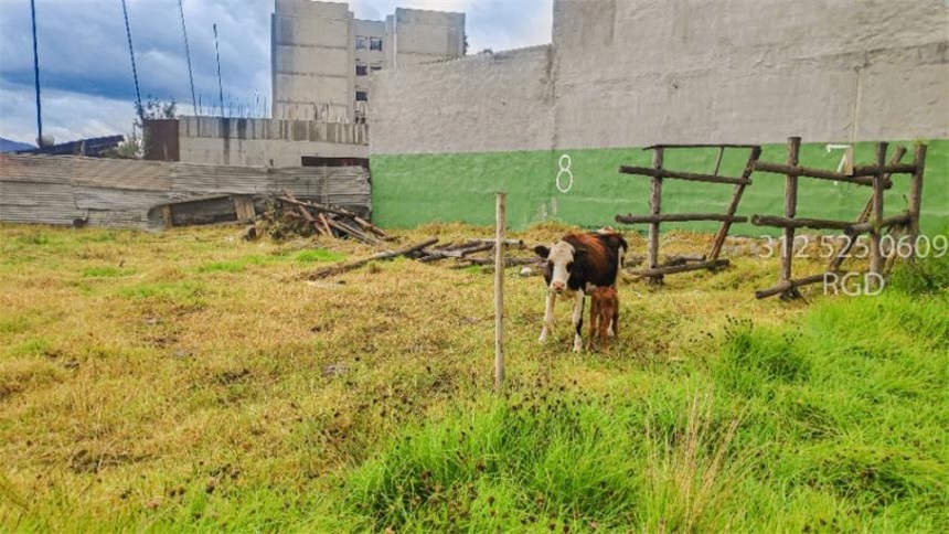 Lote en venta en Ub. Los Alpes, Tocancipá, 1060 m² · foto 11 de 13