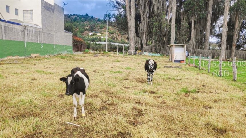 Lote en venta en Ub. Los Alpes, Tocancipá, 1060 m² · foto 6 de 13