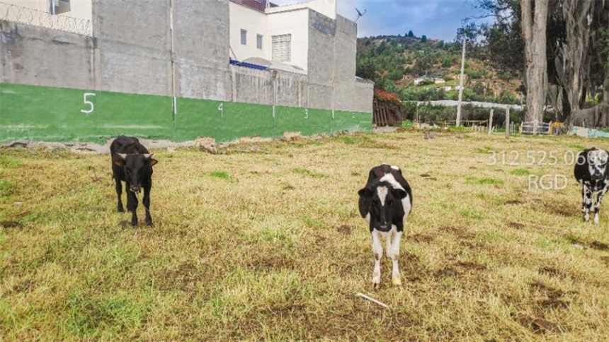 Lote en venta en Ub. Los Alpes, Tocancipá, 1060 m² · foto 7 de 13