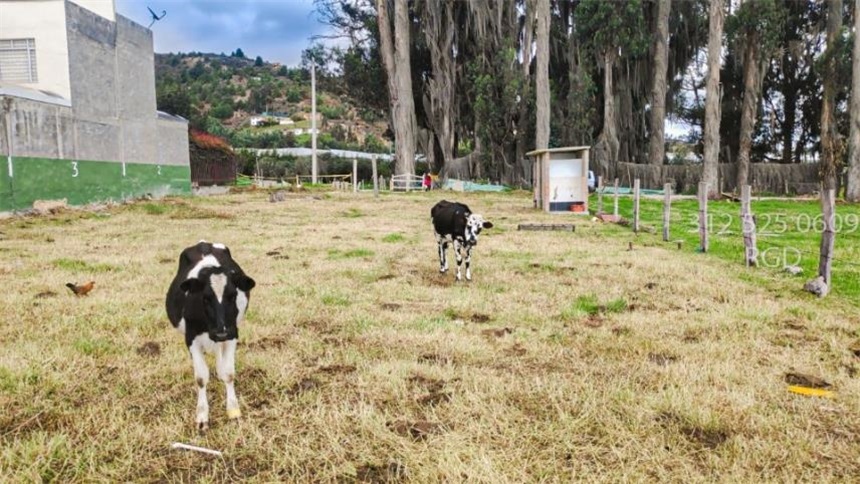 Lote en venta en Ub. Los Alpes, Tocancipá, 1060 m² · foto 5 de 13