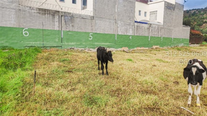 Lote en venta en Ub. Los Alpes, Tocancipá, 1060 m² · foto 8 de 13